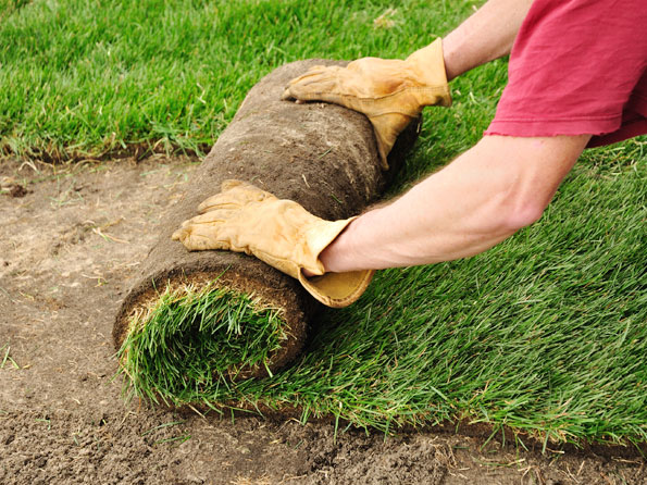 lawn care service in Vaughan